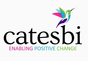 catsbi - Logo and Branding