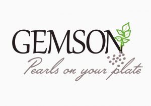 Gemson - Rebrand